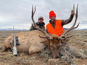 Elk